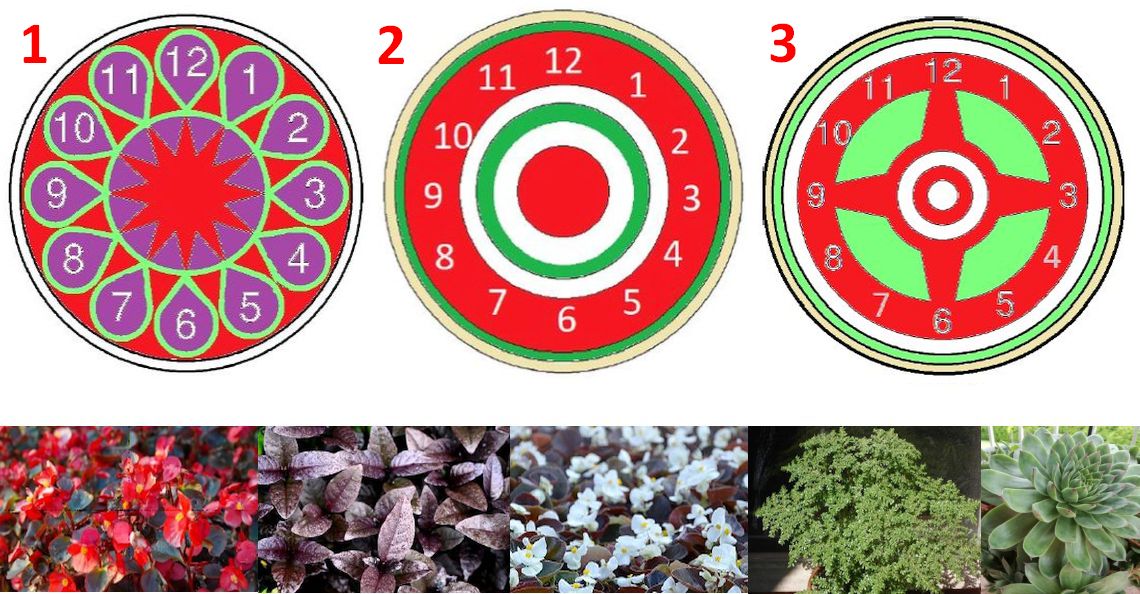 Ma még lehet szavazni, hogy milyen legyen jövőre a Virágóra